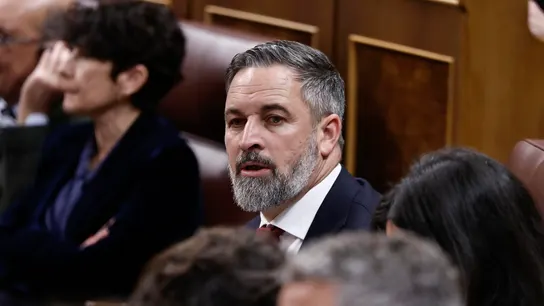 El líder de VOX, Santiago Abascal durante el pleno del Congreso. El líder de VOX, Santiago Abascal durante el pleno del Congreso.