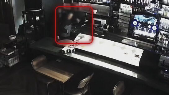 El presunto ladr&oacute;n, robando en un local