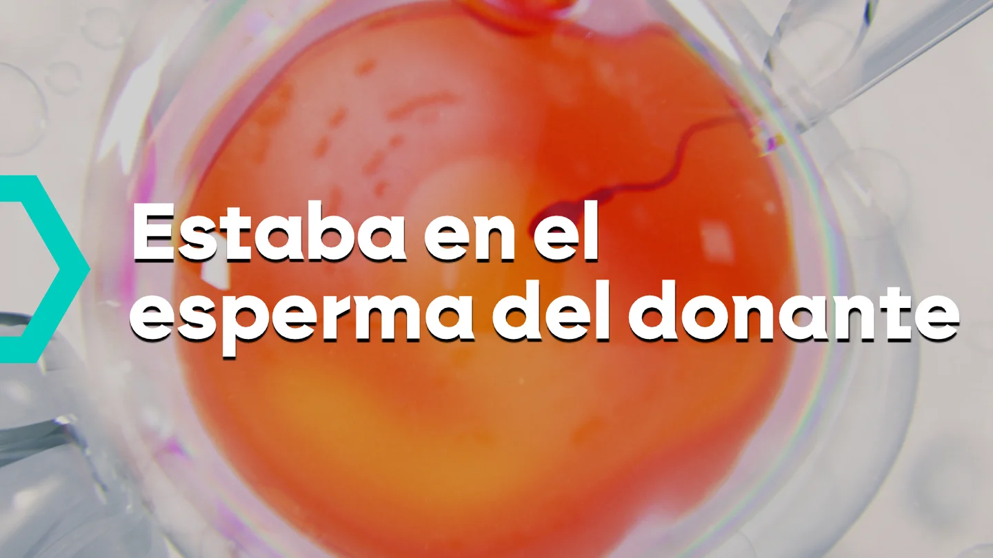 Primer caso de traspaso de enfermedad genética en un donante de esperma: hasta tres niños han sido diagnosticados de angioedema hereditario. Primer caso de traspaso de enfermedad genética en un donante de esperma: hasta tres niños han sido diagnosticados de angioedema hereditario.