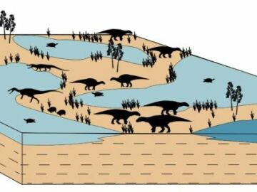 Teruel hace 127 millones de a&ntilde;os: tierra de dinosaurios, tiburones y otros vertebrados del Cret&aacute;cico
