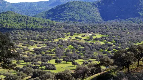 Sierra de Andújar Sierra de Andújar