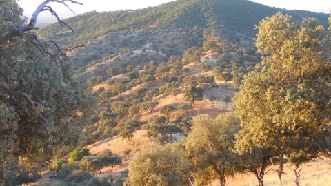 Sierra de Andújar Sierra de Andújar