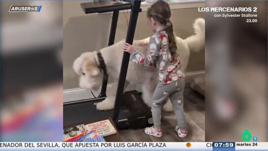 El divertido v&iacute;deo viral de la ni&ntilde;a y el perro que juegan con la cinta andadora: "Sin tablets"