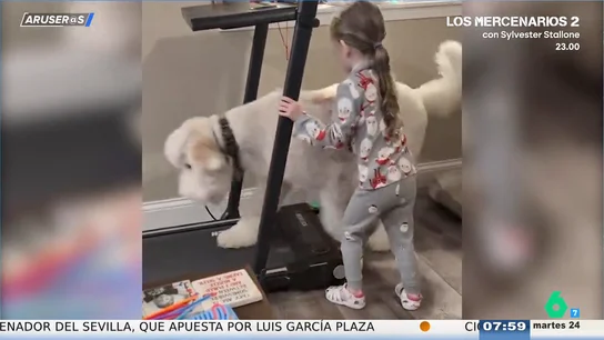 El divertido vídeo viral de la niña y el perro que juegan con la cinta andadora: "Sin tablets" El divertido vídeo viral de la niña y el perro que juegan con la cinta andadora: "Sin tablets"