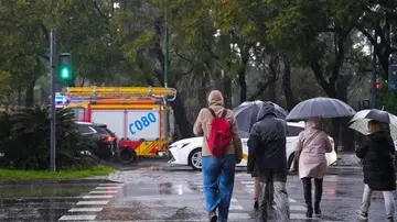Paso de cebra con peatones Paso de cebra con peatones