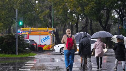 Paso de cebra con peatones