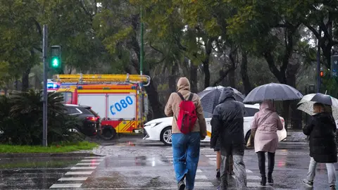 Paso de cebra con peatones Paso de cebra con peatones
