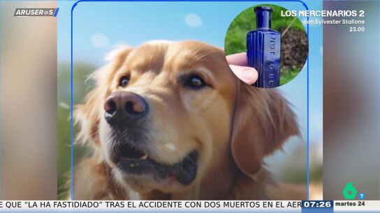 Un perro desentierra una botella de veneno que podr&iacute;a ser la prueba clave de un asesinato de hace 160 a&ntilde;os