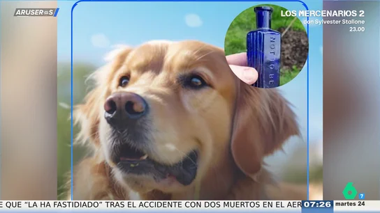 Un perro desentierra una botella de veneno que podría ser la prueba clave de un asesinato de hace 160 años Un perro desentierra una botella de veneno que podría ser la prueba clave de un asesinato de hace 160 años