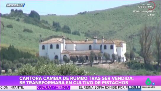 'Cantora', la m&iacute;tica finca de Isabel Pantoja y Paquirri, se convertir&aacute; en un cultivo de pistachos tras ser vendida a un liban&eacute;s