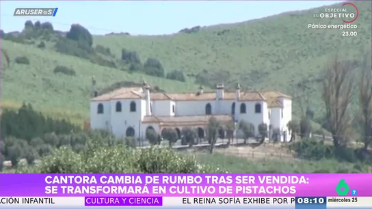 'Cantora', la mítica finca de Isabel Pantoja y Paquirri, se convertirá en un cultivo de pistachos tras ser vendida a un libanés 'Cantora', la mítica finca de Isabel Pantoja y Paquirri, se convertirá en un cultivo de pistachos tras ser vendida a un libanés