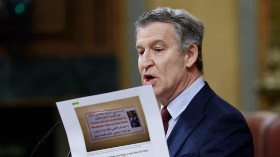 El presidente del PP, Alberto Núñez Feijóo, durante su intervención en el Congreso El presidente del PP, Alberto Núñez Feijóo, durante su intervención en el Congreso