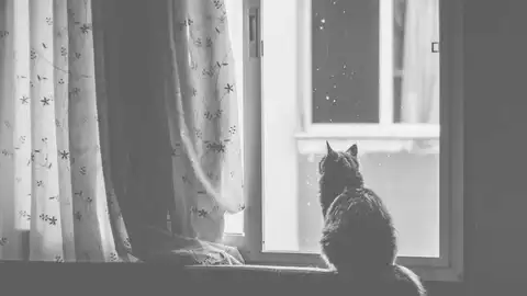 WindowSwap, una vweb que permite mirar a través de la ventana de extraños WindowSwap, una vweb que permite mirar a través de la ventana de extraños