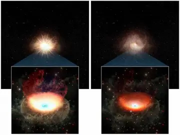 Ilustración conceptual en la que se comparan las fases brillante (izquierda) y tenue (derecha) de un agujero negro supermasivo Ilustración conceptual en la que se comparan las fases brillante (izquierda) y tenue (derecha) de un agujero negro supermasivo