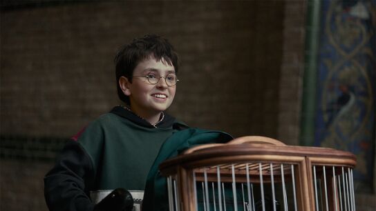 Dominic McLaughlin interpreta a Harry Potter en la serie de Harry Potter de HBO Max