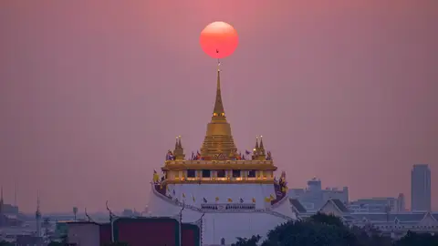 Monte Dorado Monte Dorado