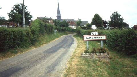 Camembert