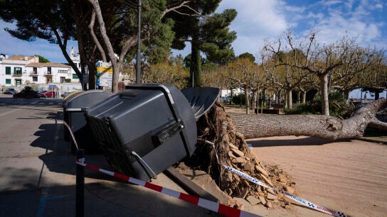 Consecuencias del temporal de viento en Catalu&ntilde;a