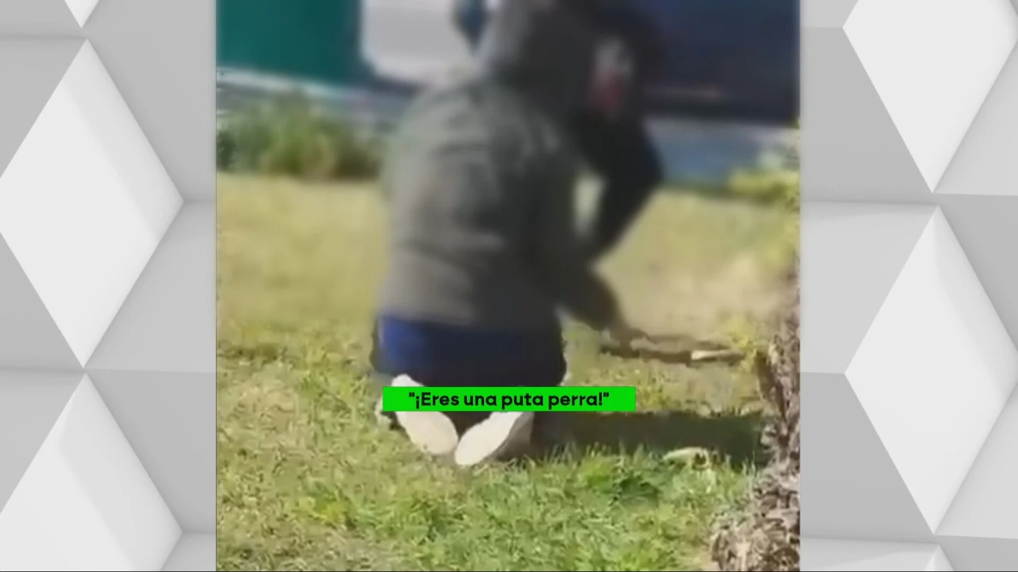 Tres detenidos por la violenta y humillante agresión a un joven con discapacidad que se viralizó en redes. Tres detenidos por la violenta y humillante agresión a un joven con discapacidad que se viralizó en redes.