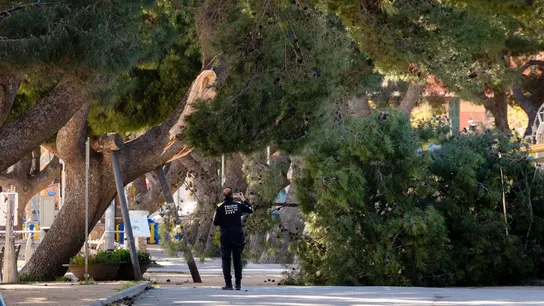 Consecuencias del temporal de viento este domingo cerca del paseo marítimo de Sant Feliu de Guixols (Girona). Consecuencias del temporal de viento este domingo cerca del paseo marítimo de Sant Feliu de Guixols (Girona).