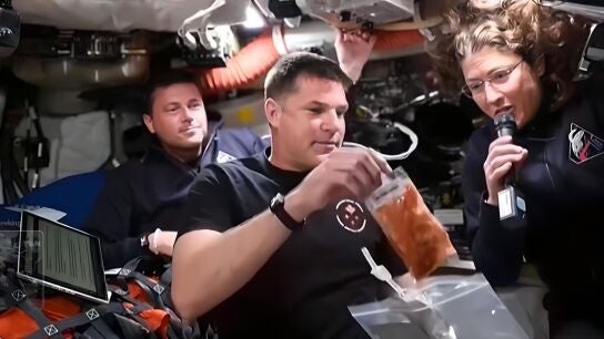 Astronautas de la misi&oacute;n Artemis II.