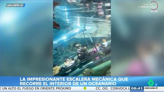 Así es la escalera mecánica que te sumerge en un acuario de China y te hace sentir como un pez Así es la escalera mecánica que te sumerge en un acuario de China y te hace sentir como un pez