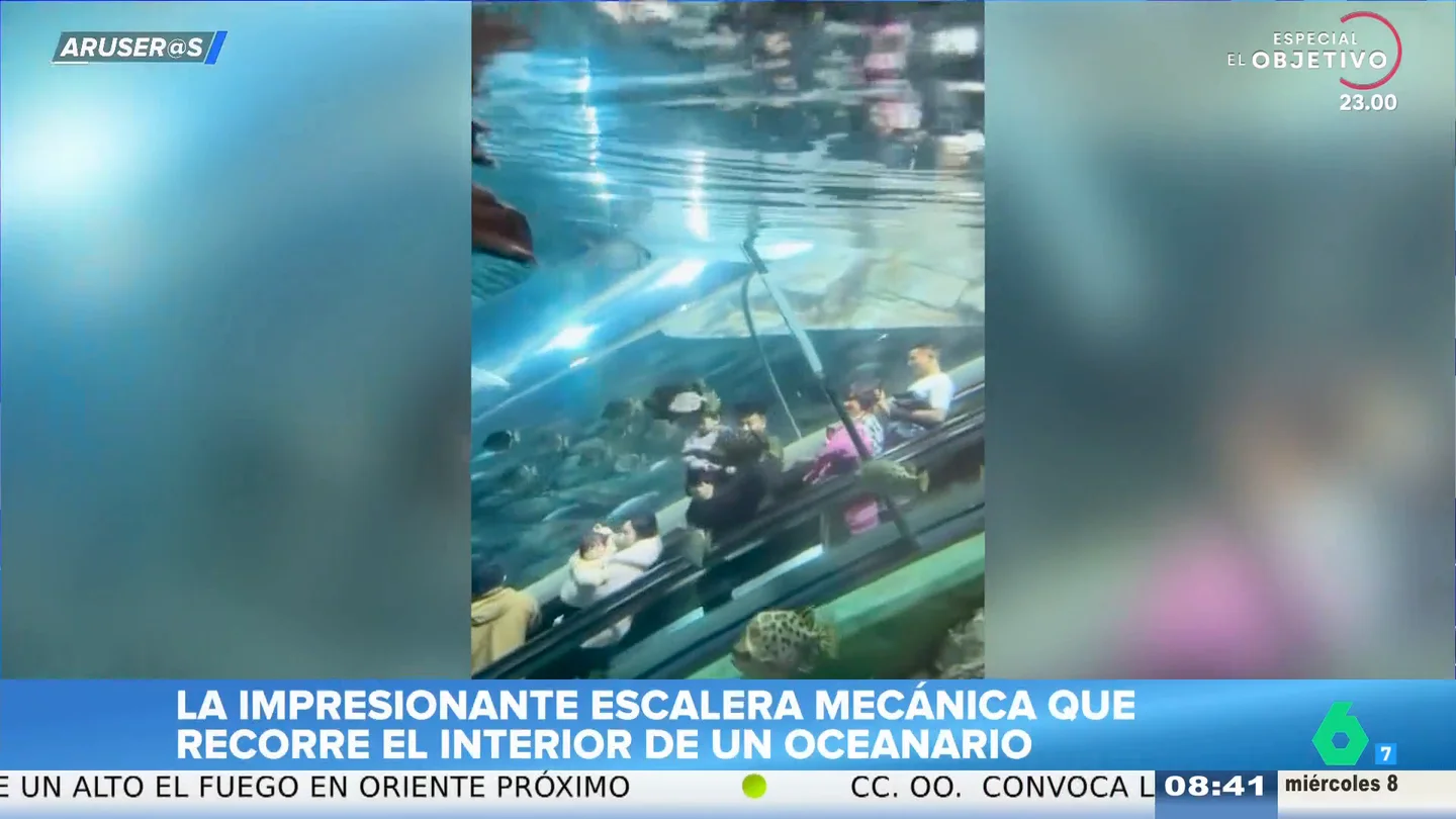 Así es la escalera mecánica que te sumerge en un acuario de China y te hace sentir como un pez Así es la escalera mecánica que te sumerge en un acuario de China y te hace sentir como un pez