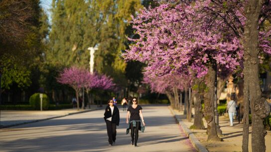 Dos personas, dando un paseo
