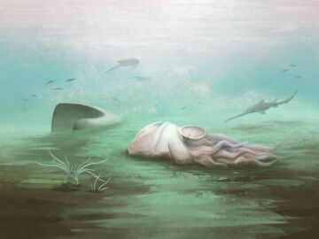 Reconstrucci&oacute;n de la Pohlsepia mazonensis