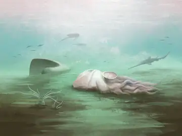 Reconstrucción de la Pohlsepia mazonensis Reconstrucción de la Pohlsepia mazonensis