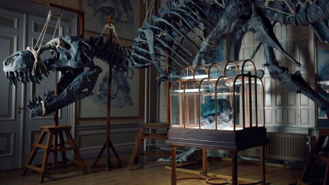 Bolso de lujo hecho con proteína reconstruida de T-Rex