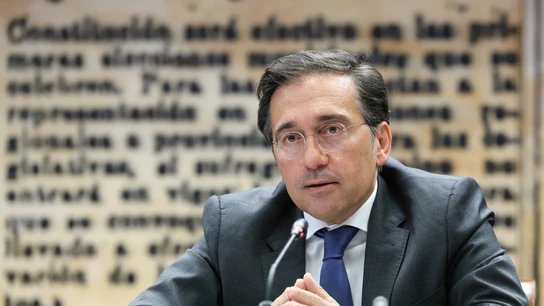 El ministro de Asuntos Exteriores, Unión Europea y Cooperación, José Manuel Albares, comparece ante la Comisión de Asuntos Exteriores, en el Senado El ministro de Asuntos Exteriores, Unión Europea y Cooperación, José Manuel Albares, comparece ante la Comisión de Asuntos Exteriores, en el Senado