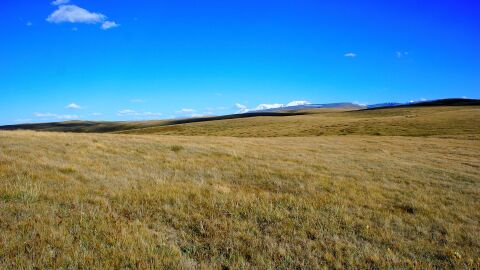 Meseta de Ukok, Rusia