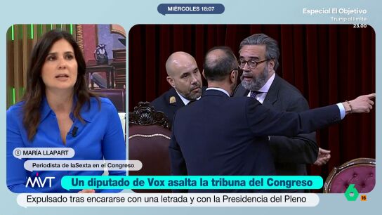 "Se nos est&aacute;n olvidando las instituciones", afirma Mar&iacute;a Llapart despu&eacute;s de haber sido testigo ayer del lamentable espect&aacute;culo del diputado de Vox Jos&eacute; Mar&iacute;a S&aacute;nchez al invadir la tribuna del Congreso.