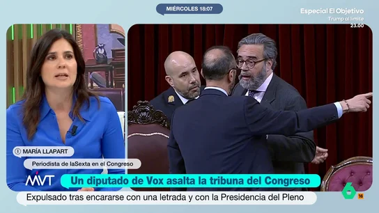 María Llapart sentencia el bochorno del diputado de Vox en el Congreso "Se nos están olvidando las instituciones", afirma María Llapart después de haber sido testigo ayer del lamentable espectáculo del diputado de Vox José María Sánchez al invadir la tribuna del Congreso.