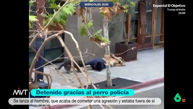 I&ntilde;aki L&oacute;pez alucina al ver como un cachorro de perro polic&iacute;a reduce a un hombre: "Le ha faltado que le ponga las bridas"