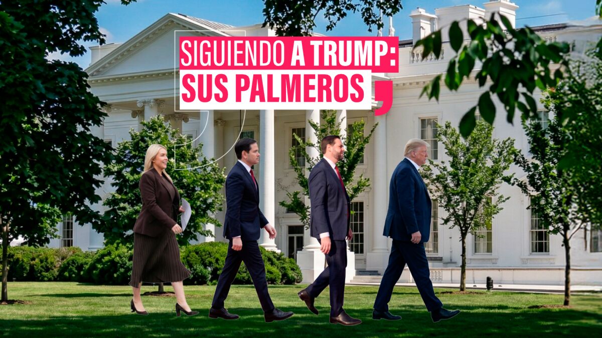 Ataques al papa, burlas a líderes políticos y amenazas al mundo: los palmeros de Trump que aplauden sus disparates