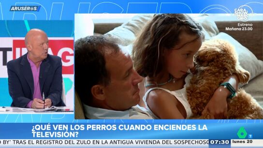 Alfonso Ar&uacute;s bromea sobre c&oacute;mo ven la televisi&oacute;n los perros: "Ven b&aacute;sicamente los partidos del C&aacute;diz"