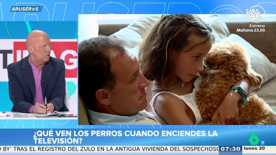 Alfonso Arús bromea sobre cómo ven la televisión los perros: "Ven básicamente los partidos del Cádiz" Alfonso Arús bromea sobre cómo ven la televisión los perros: "Ven básicamente los partidos del Cádiz"