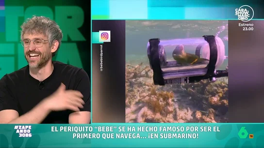 Víctor Algra valora la última extravagancia viral en redes: un submarino para loros El dispositivo ha sido creado por un hombre que quería viajar a Bahamas con su loro. Se ha justificado en redes señalando que Bebe, que así se llama el animal, no estaba estresado mientras buceaba.