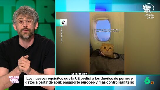 A partir de este mi&eacute;rcoles, 22 de abril, se van a endurecer los requisitos para viajar con nuestras mascotas por la UE ya que se busca "unificar las exigencias entre pa&iacute;ses". 