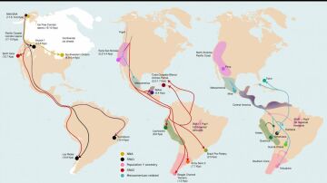 Tres grandes dispersiones moldearon la diversidad gen&eacute;tica de los pueblos ind&iacute;genas de Sudam&eacute;rica