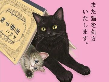 Portada de 'Te receto otro gato'