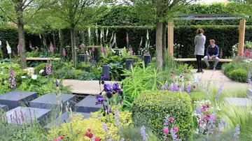 Chelsea Flower Show 2014 Chelsea Flower Show 2014