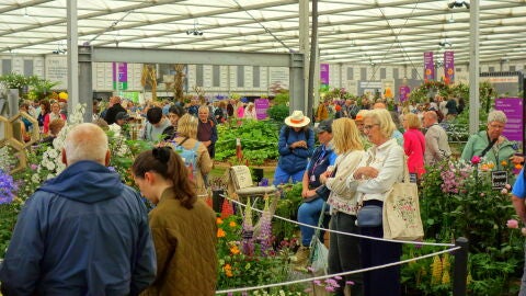 Chelsea Flower Show 2014