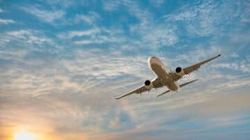 Avi&oacute;n volando