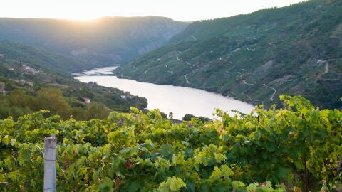 Ribeira Sacra