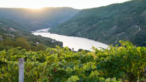 Ribeira Sacra Ribeira Sacra
