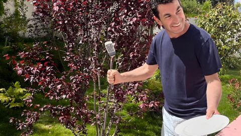 Experiencia de Airbnb de Arturo Valls y paella