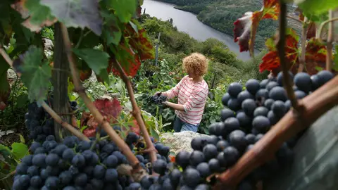 Ribeira Sacra Ribeira Sacra